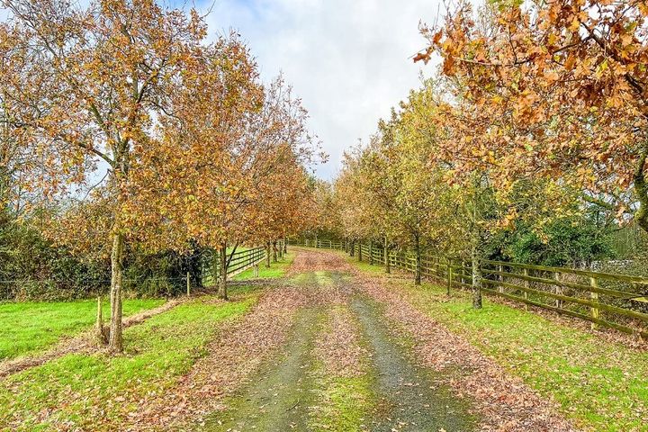 Troyswood, Thornback Road, Dunmore, Co. Kilkenny - Photo 2