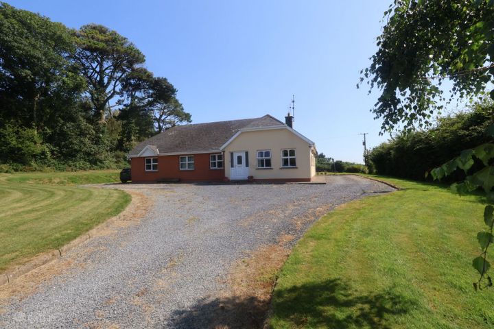 Carrigunane, Clonroche, Ballyhogue, Co. Wexford, Y21N298