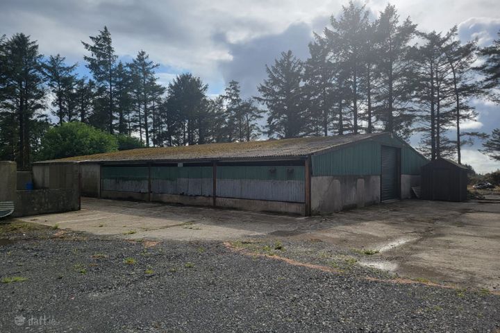 Knockerra, Cooraclare, Kilrush, Co. Clare, V15HT97