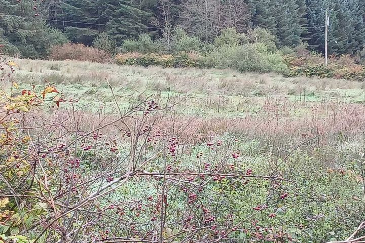 Glencollins, Ballydesmond, Co. Cork