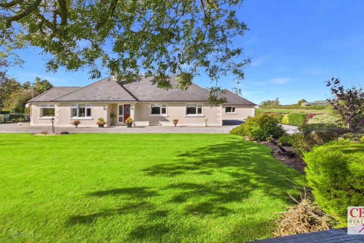 Cuddagh South, Ballacolla, Ballacolla, Co. Laois, R32X9R7