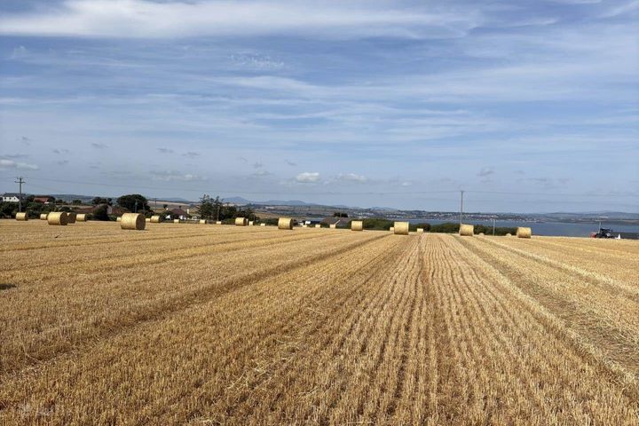 Ballyskibole, Knockadoon, Ballymacoda, Co. Cork, P25CD52