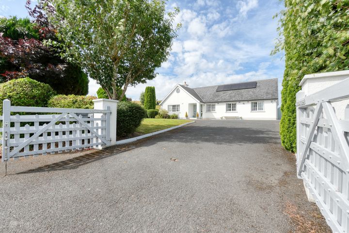 Ballagh, Errill, Co. Laois, R21P447