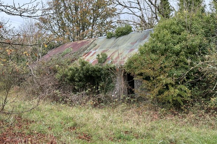 Derynagalliagh, Ballymahon, Co. Longford