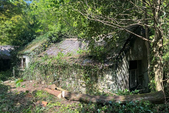 Parnell`s Forge, The Meetings, Avoca, Co. Wicklow