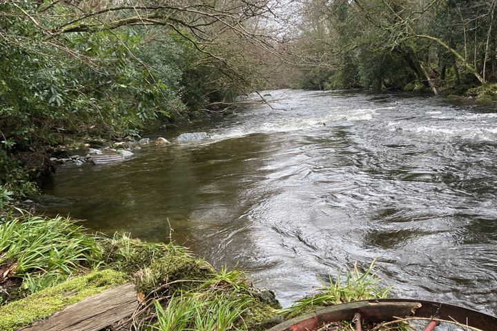Moore's Meadow, Mill Road, Ballinacarrig Lower (L2144), Rathdrum, Ballinaclash, Co. Wicklow