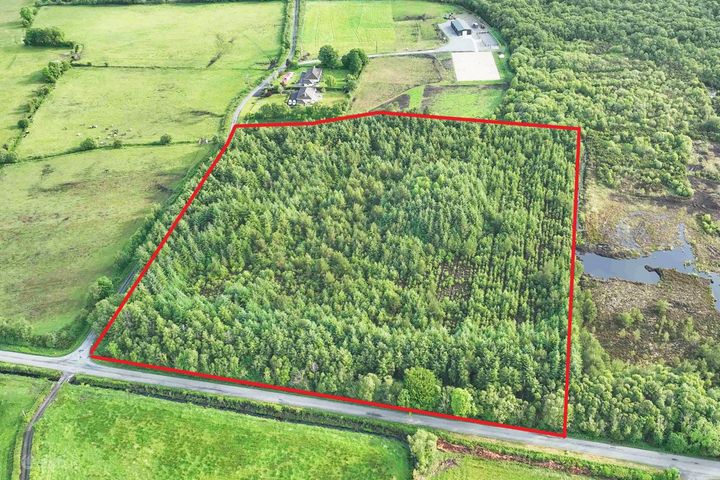 Dalystown, Mullingar, Co. Westmeath