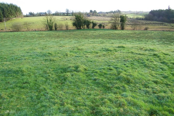 Tully, Loughglynn, Castlerea, Co. Roscommon, F45P718