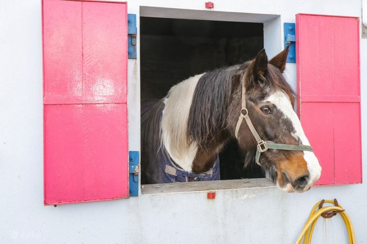 Crossmolina, Co. Mayo