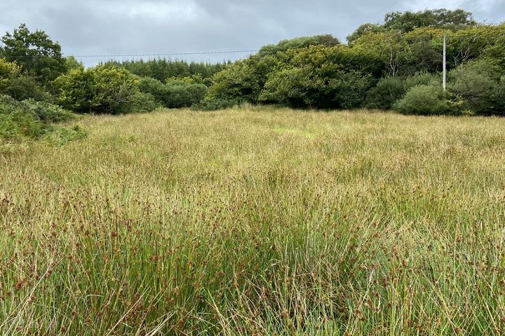 Letterkenny, Breenagh, Co. Donegal