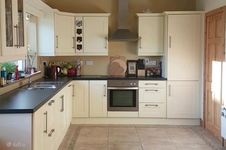 Drumgola wood, Cavan, Co. Cavan