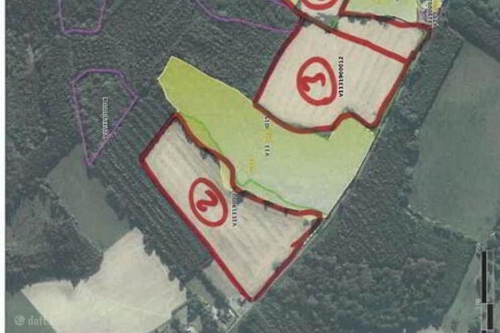 37 Acres, 1st & 2nd Cut Silage, Casteltown, Coolbawn, Nenagh, Co. Tipperary