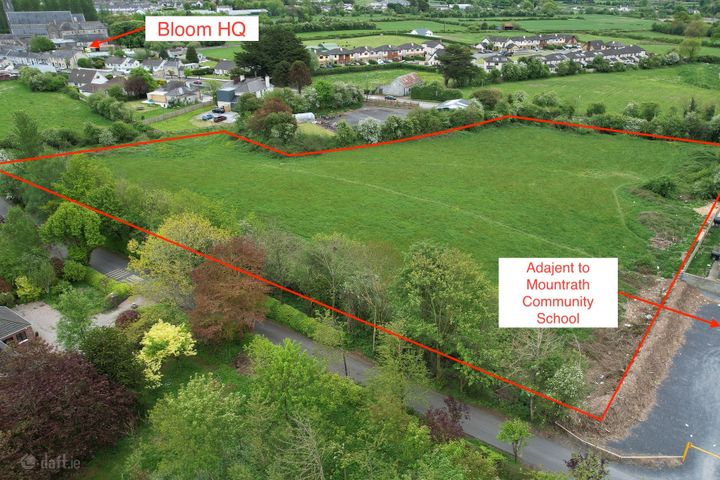 Dysartbeigh, Mountrath, Co. Laois