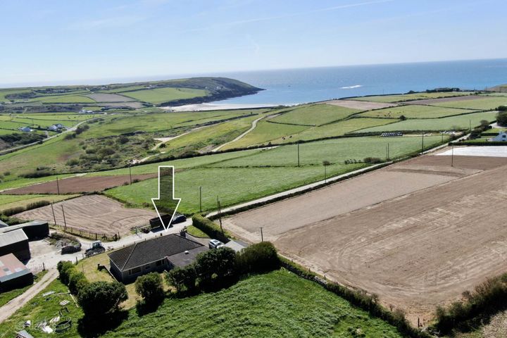 Gahanive, Castlefreke, Clonakilty, Co. Cork, P85V309