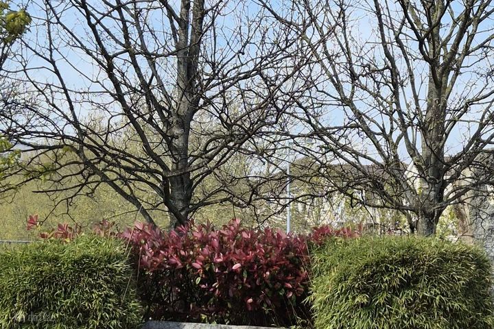 77 Charlesland Park, Greystones, Co. Wicklow, A63KC81