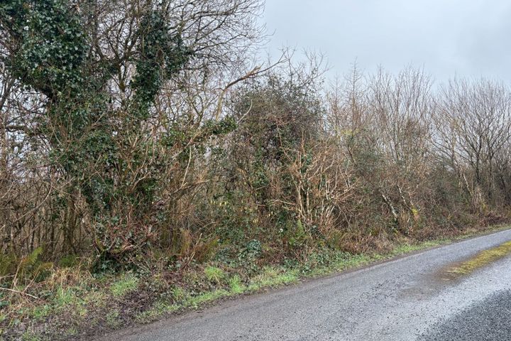 Land/Wood 0.90HA (2.22 ACRES) Doonbeg Road, Kilrush, Kilrush, Co. Clare