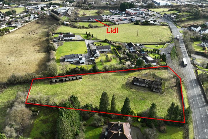 Birr Road, Roscrea, Co. Tipperary