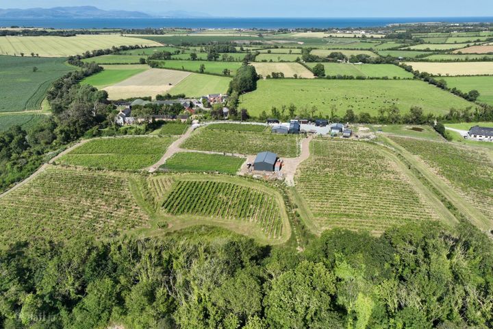 Fairy Trees Winery, Willistown, Drumcar, Drumcar, Co. Louth, A92X22E
