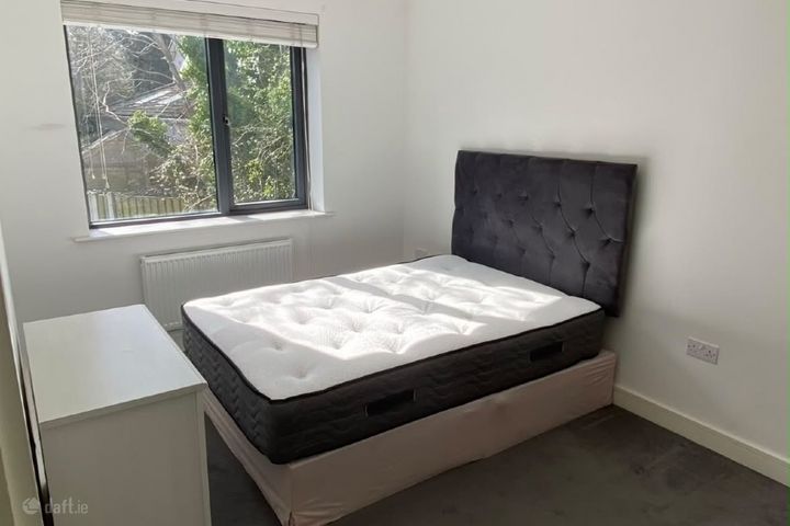Scholarstown Wood, Dublin 16, Knocklyon, Dublin 16