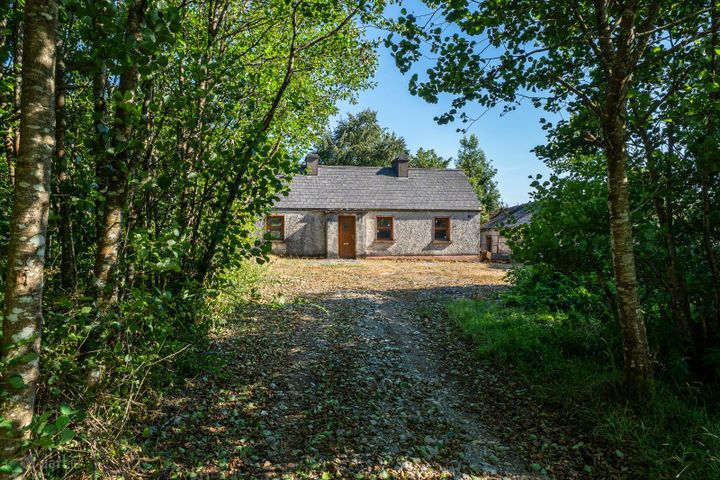 Derrylow, Boyle, Co. Roscommon, RN3682F (For ID), F52YP99