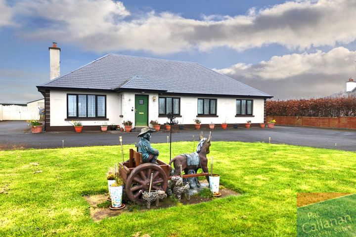 Mountain North, Athenry, Athenry, Co. Galway, H65P896