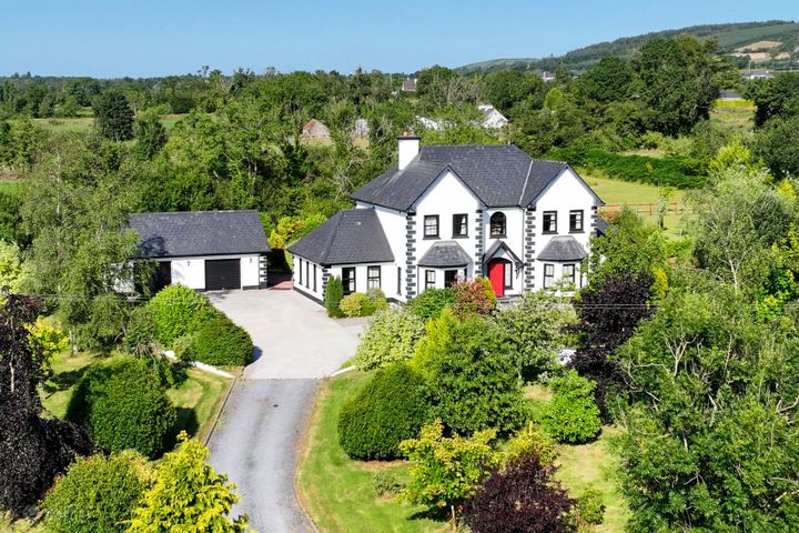 Brocklagh, Drumlish, Ballinamuck, Co. Longford, N39XH39