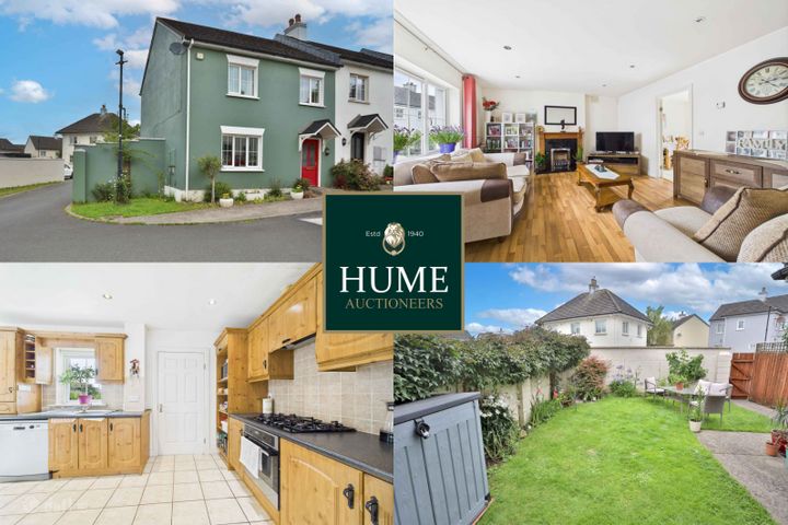 46 Buttercup Avenue, Esker Hills, Portlaoise, Co. Laois, R32F67E