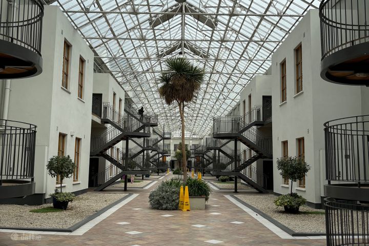 The Sycamore, Winter Garden, Dublin 2