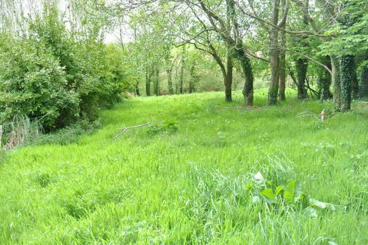 Castletreasure, Douglas, Rathmacullig, Co. Cork, T12TDC9 - Photo 3