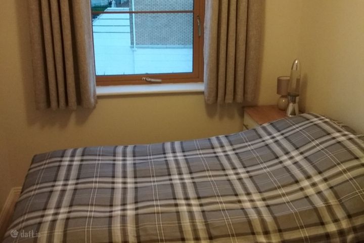 Stocking Well Wood, Rathfarnham, Dublin 14