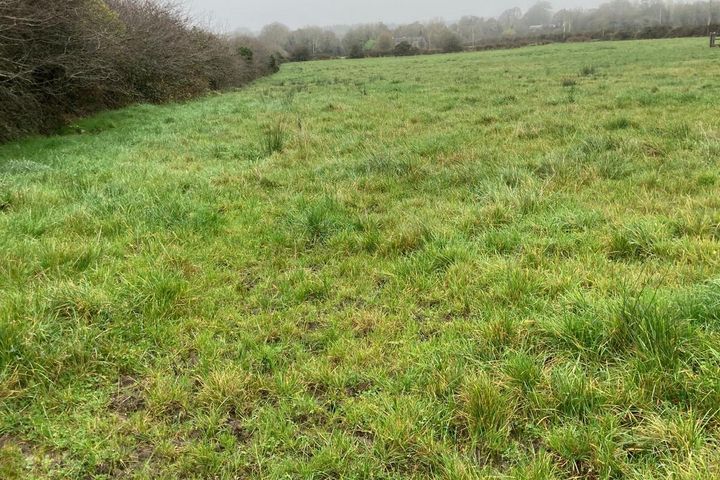 Mountdelvin, Dunmore, Co. Galway