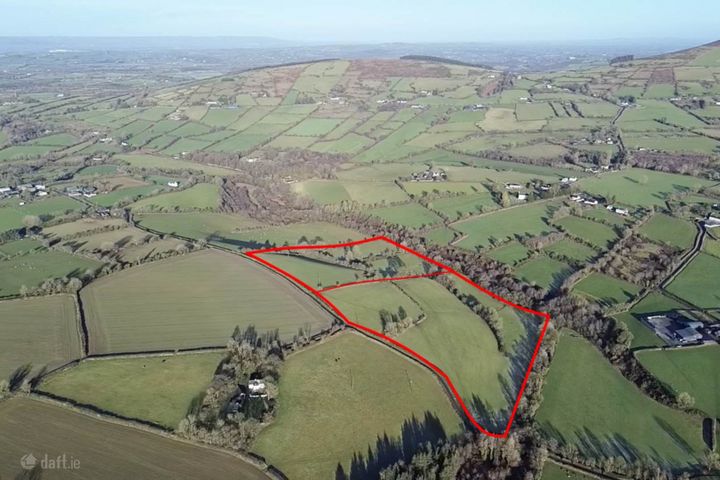 Rosdellig (C. 20 Acres), Borris, Co. Carlow