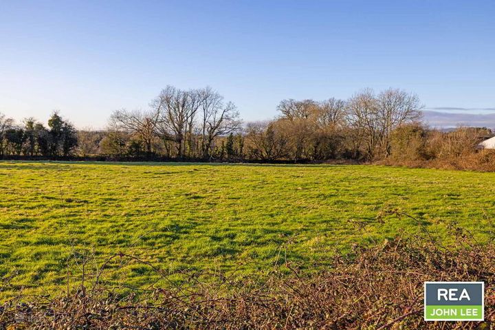 Gortnavarnogue, Newport, Co. Tipperary