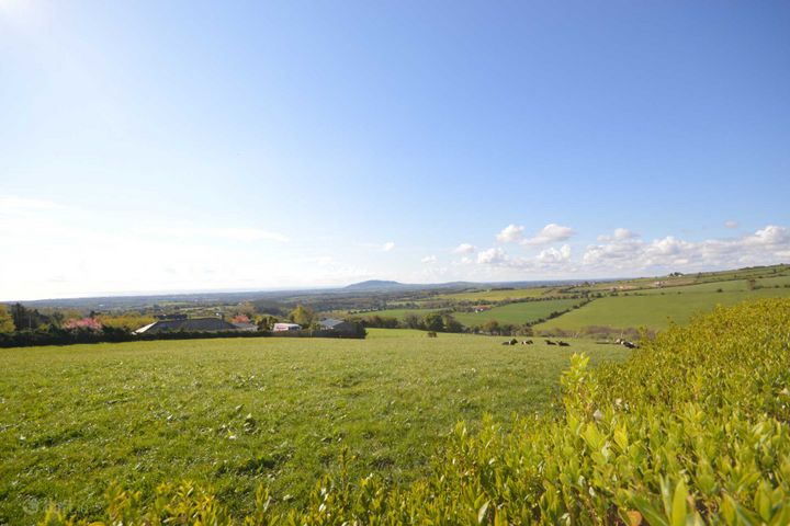 Site `A` Moneyribbon, Coolgreany, Co. Wexford, Coolgreany, Co. Wexford