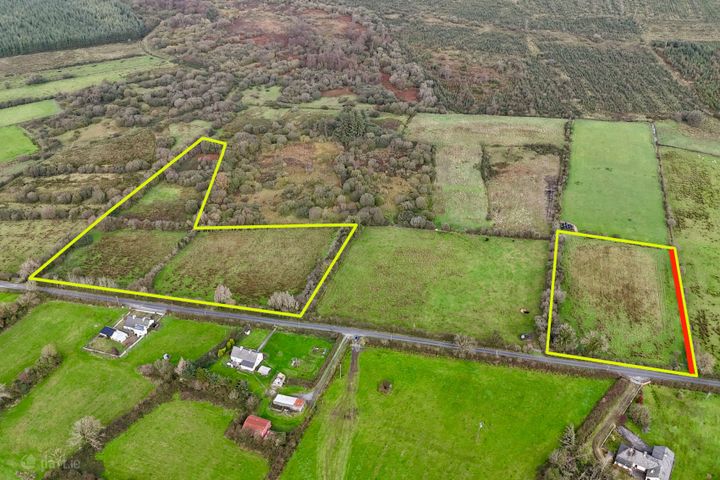 6 acres (approx.) at Lisavruggy, Ballygar, Co. Galway