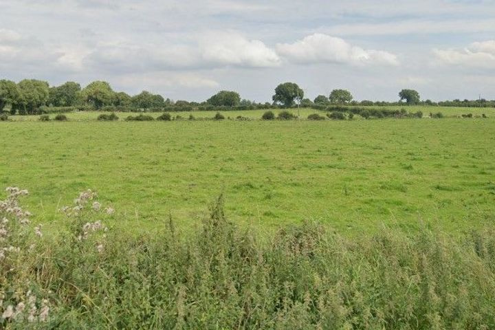 Mackey Roundabout, Lisnagry, Co. Limerick