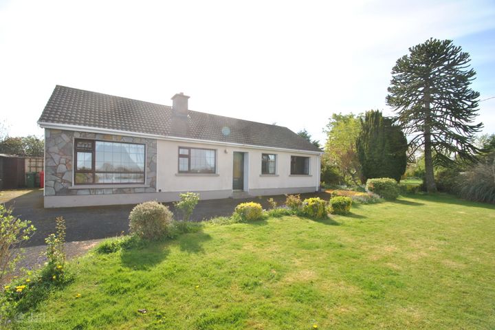 Mount Heaton, Roscrea, Co. Offaly, E53TK50