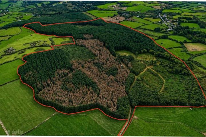 Loughdeheen, Kilmeadan, Co. Waterford