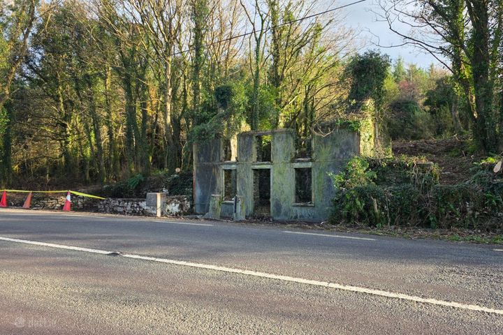 Derrynagree, Drimoleague, Drimoleague, Co. Cork, P47CK29