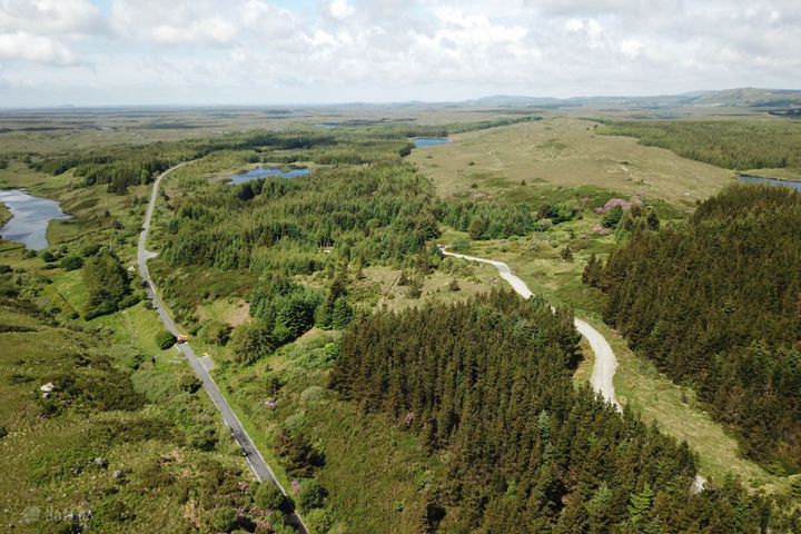 Derryvickrune, Ballynahinch, Co. Galway