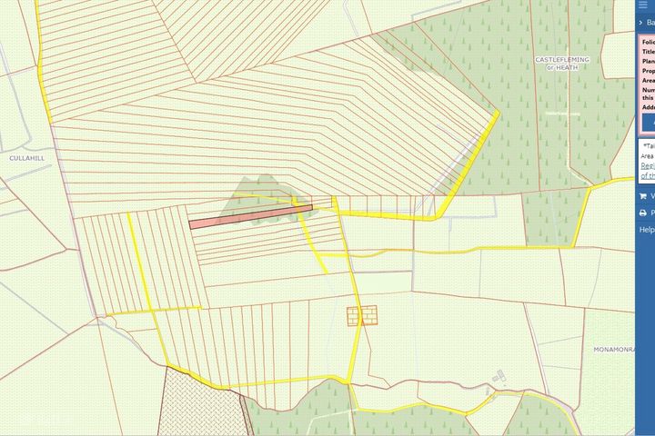 Monamonra, Errill, Co. Laois