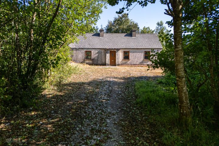 Derrylow, Boyle, Co. Roscommon, RN3682F (For ID), F52YP99
