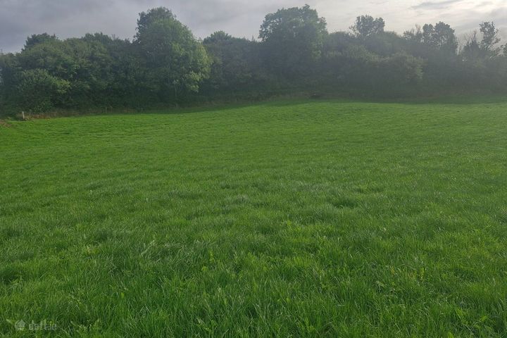 Ballyleen, Tynagh, Loughrea, Tynagh, Co. Galway, H62FF10