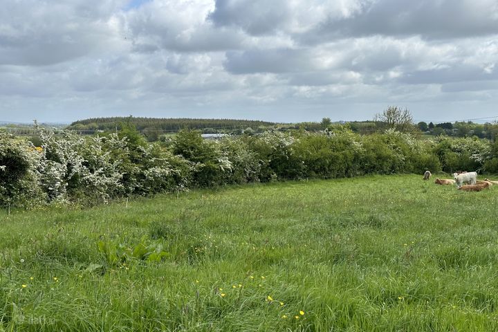 Springtown ,Granard , Co Longford, Granard, Co. Longford