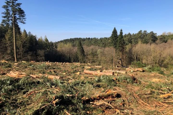 Curraheen, Lemybrien, Co. Waterford