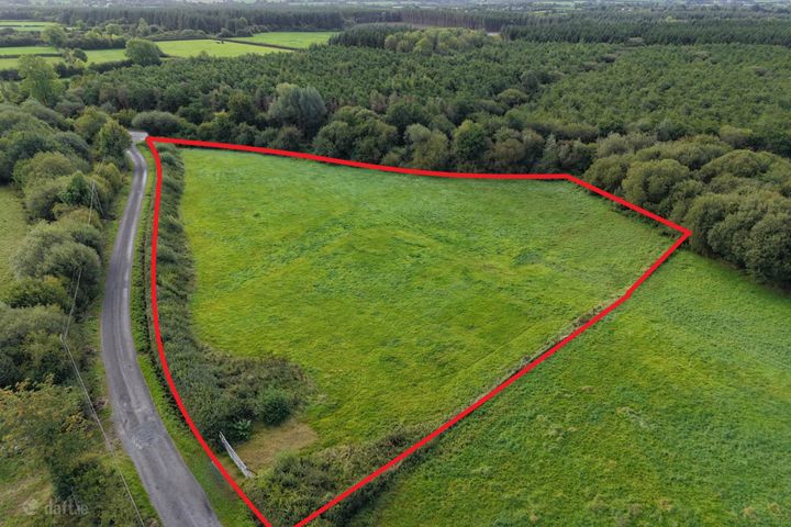 Ballylanigan, Mullinahone, Co. Tipperary