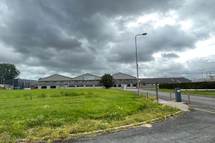 Killaderry, Ballyforan, Ballinasloe, Co. Galway, H53YK23