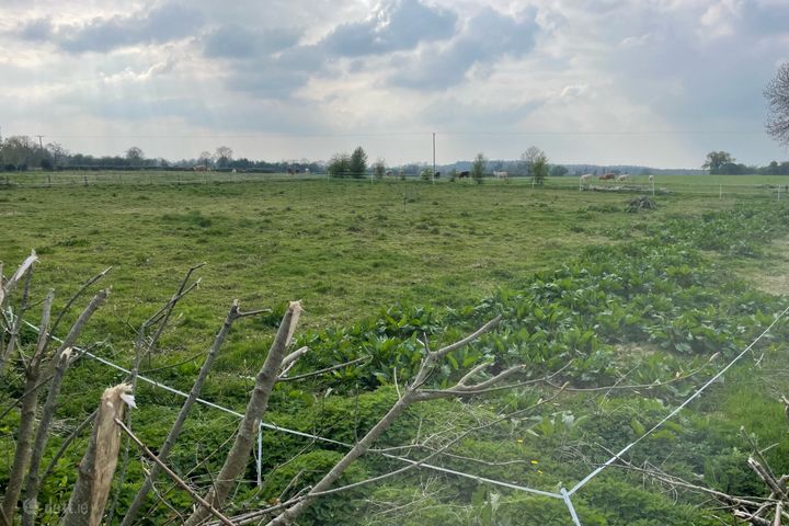 Ballindoolin, Edenderry