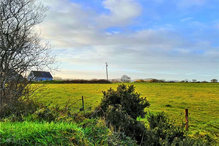 Ardea, Ballinacarriga