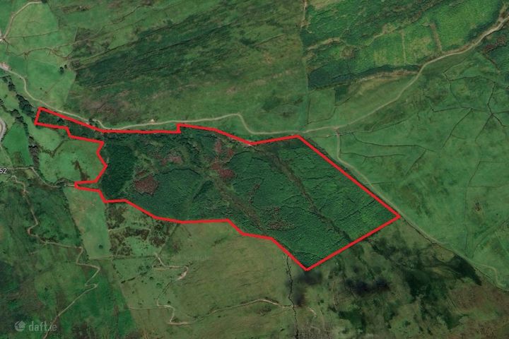 c. 41.5 Acres Forestry, Barnastooka, Kilgarvan, Co. Kerry